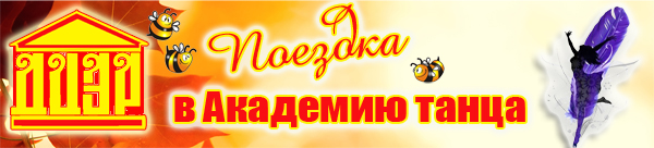 akadem 5