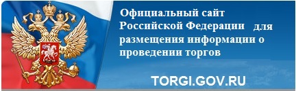 torgi gov ru