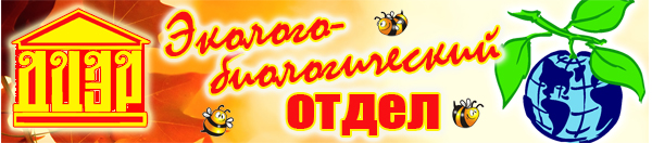 novjsti000 zzz 205