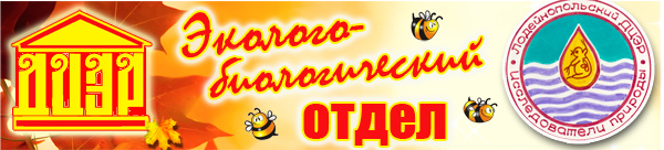 gazeta6